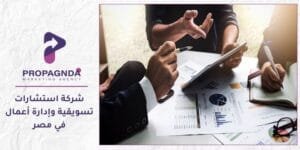 شركة استشارات تسويقيه وادارة اعمال في مصر